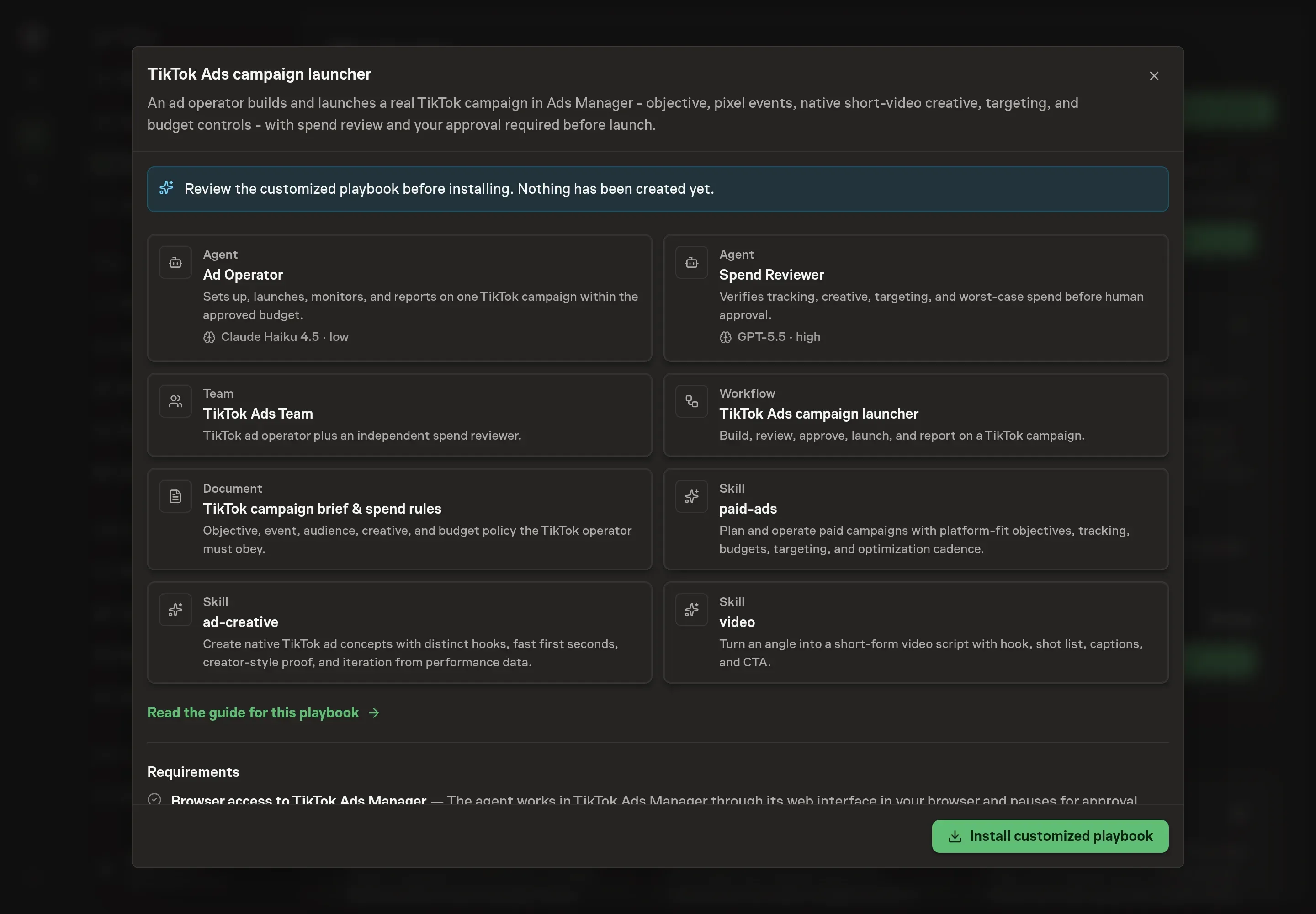 The review step showing the customized TikTok Ads campaign launcher records, including the campaign brief, agents, team, workflow, and skills ready to install
