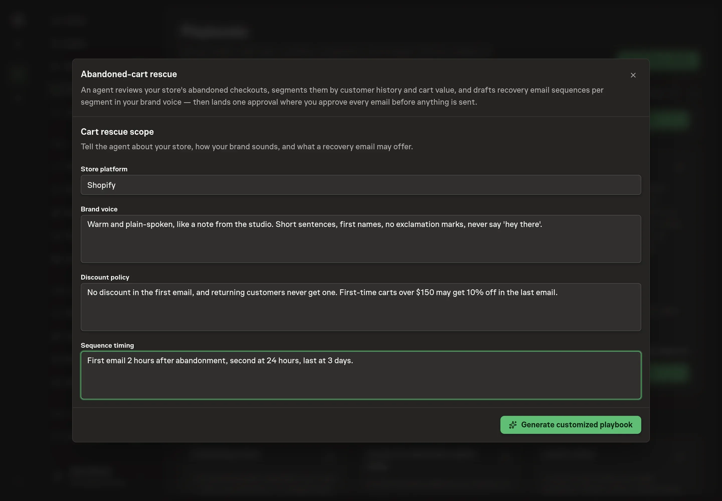 The setup form filled in with Shopify as the store platform, brand voice notes, a discount policy, and sequence timing