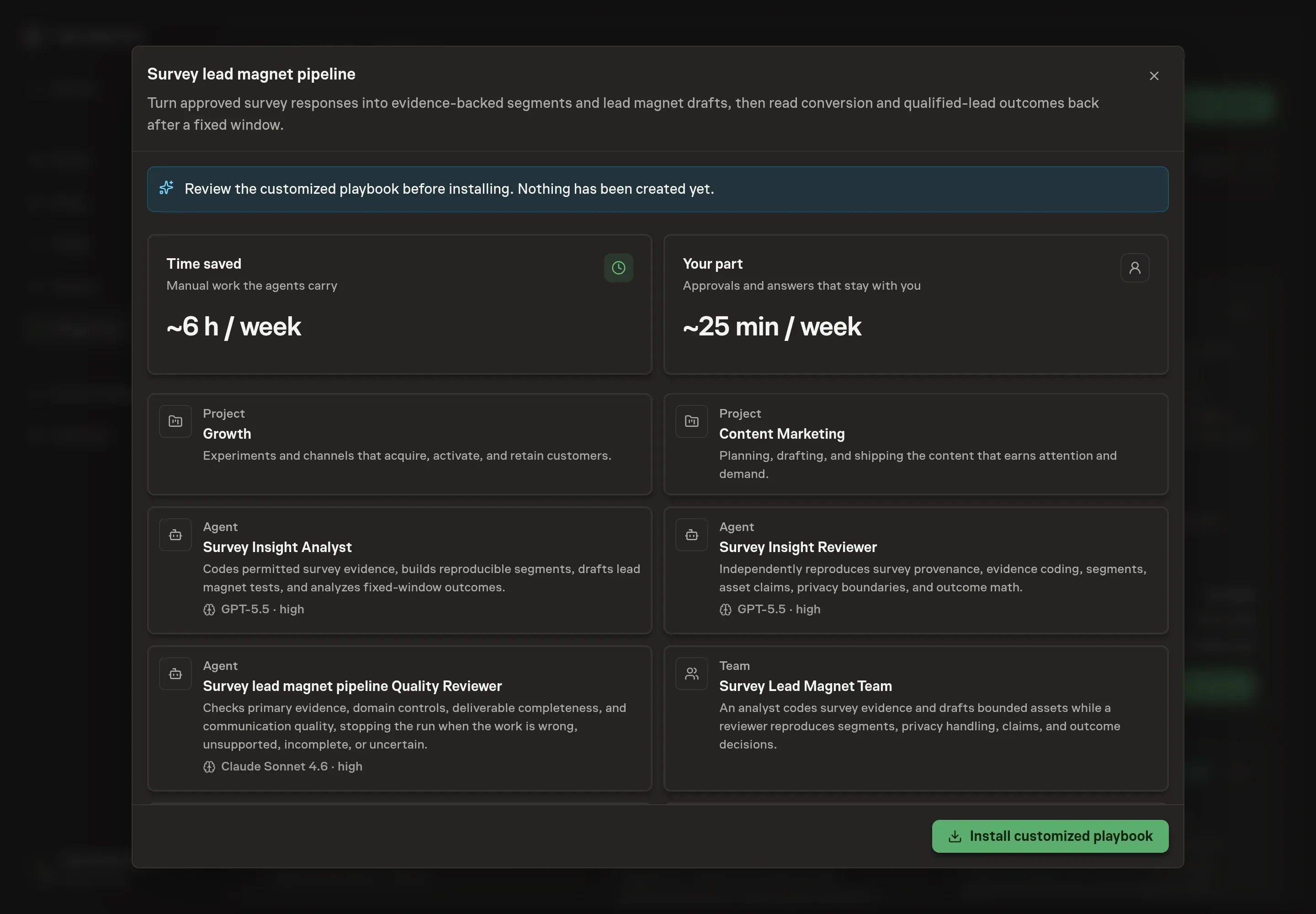 The review step showing the customized Survey Lead Magnet Team, two workflows, segmentation register, experiment log, goal, and schedule before installation